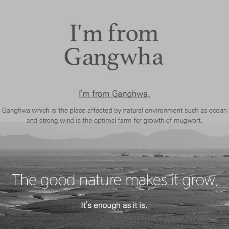 I'm From Mugwort Mask | 110 g Im From