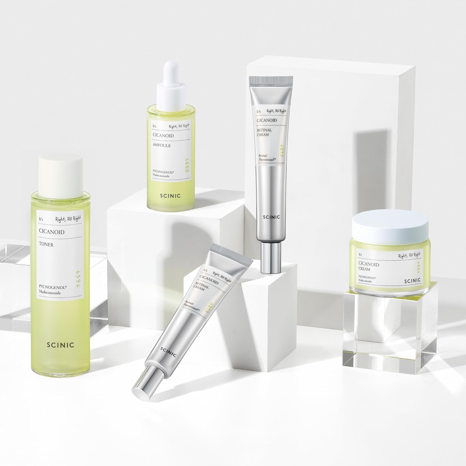 SCINIC Cicanoid Ampoule 100ml SCINIC