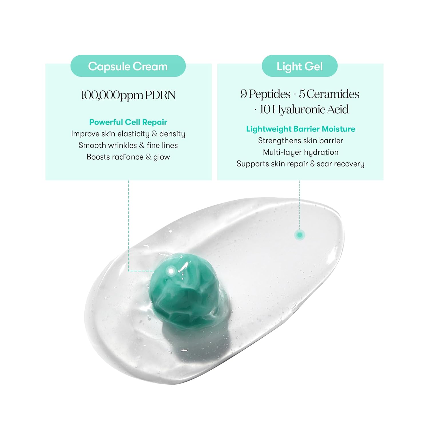 VT COSMETICS PDRN Capsule Cream 100, Hydrating Face Moisturizer with 100,000ppm PDRN, Hyaluronic Acid, 9 Peptides, Firming & Plumping Nourishing Cream, Korean Skin Care (1.69 fl. oz.) Beauty Matters