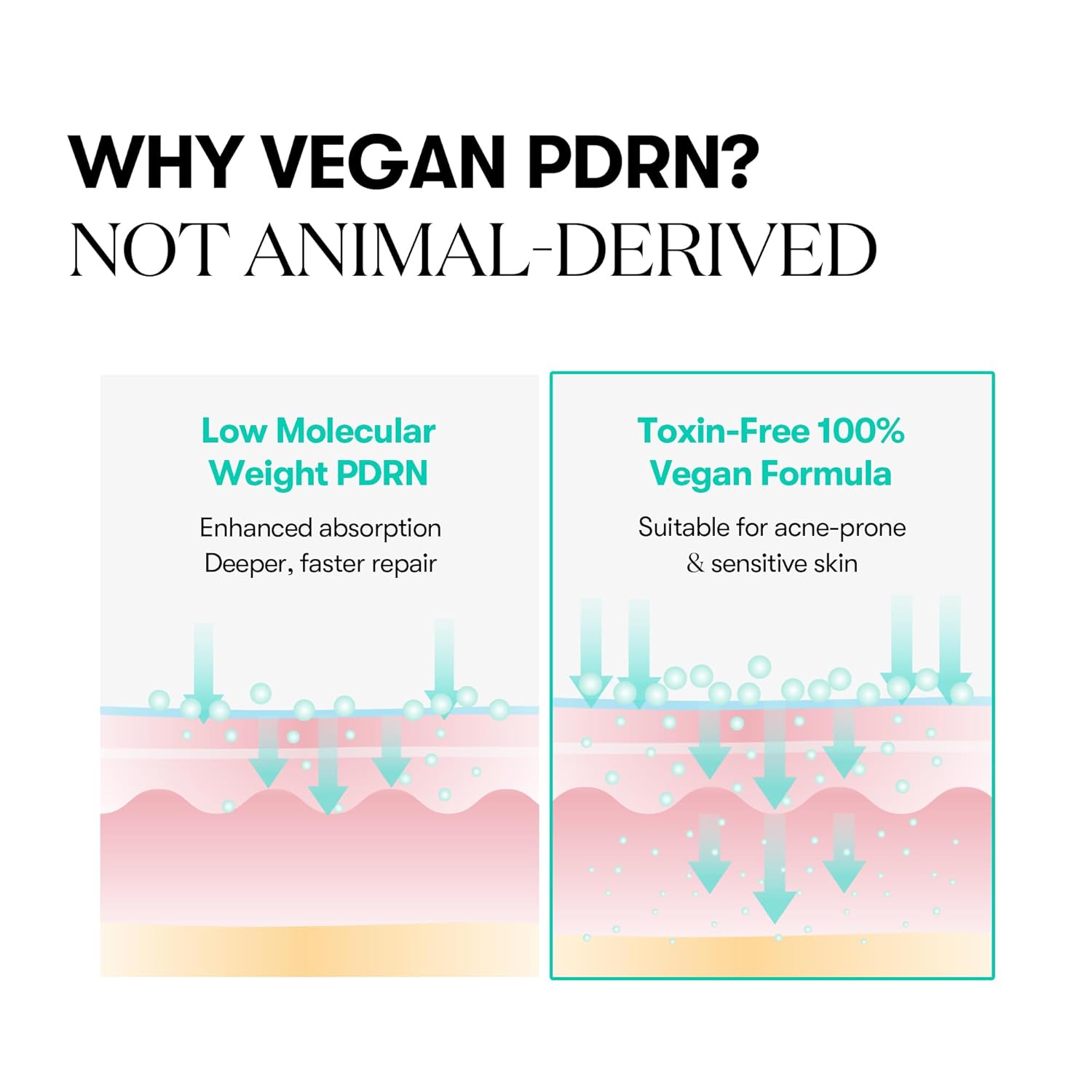 VT COSMETICS PDRN Capsule Cream 100, Hydrating Face Moisturizer with 100,000ppm PDRN, Hyaluronic Acid, 9 Peptides, Firming & Plumping Nourishing Cream, Korean Skin Care (1.69 fl. oz.) Beauty Matters