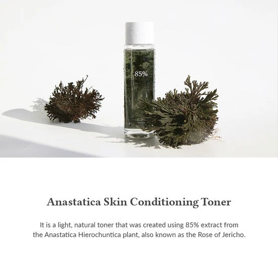 Dr. Althea Anastatica Skin Conditioning Toner | Gentle Soothing Toner for Dry & Sensitive Skin | 250ml Beauty Matters