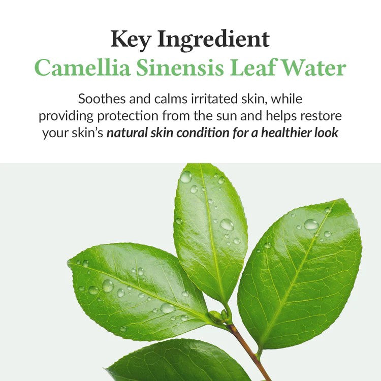 Dr.Althea Green Tea Fresh Sunscreen SPF 50+ PA++++ | Lightweight, Non-Greasy UV Protection | Vegan Korean Skincare | 45ml Beauty Matters