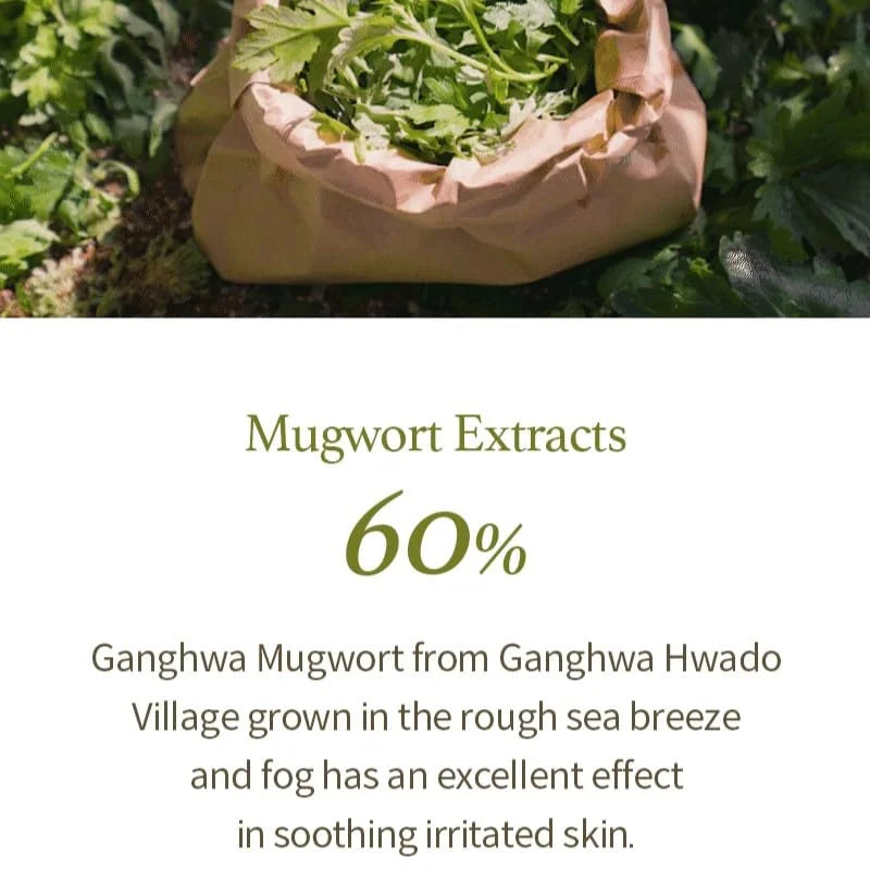 Im From Mugwort Gel Cleanser