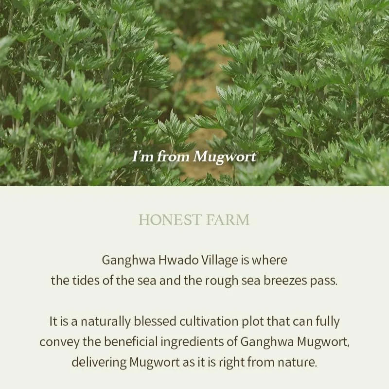 Im From Mugwort Gel Cleanser