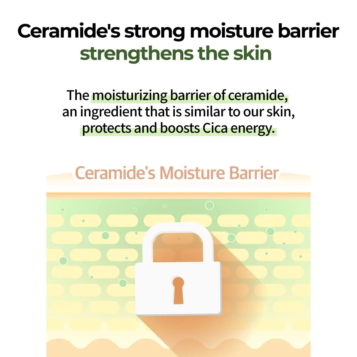 Numbuzin No.2 Cica Ceramide Repair Cream - 50Ml